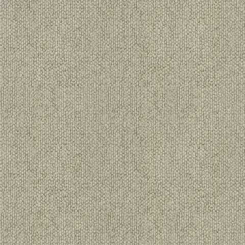 Aster carpet swatch